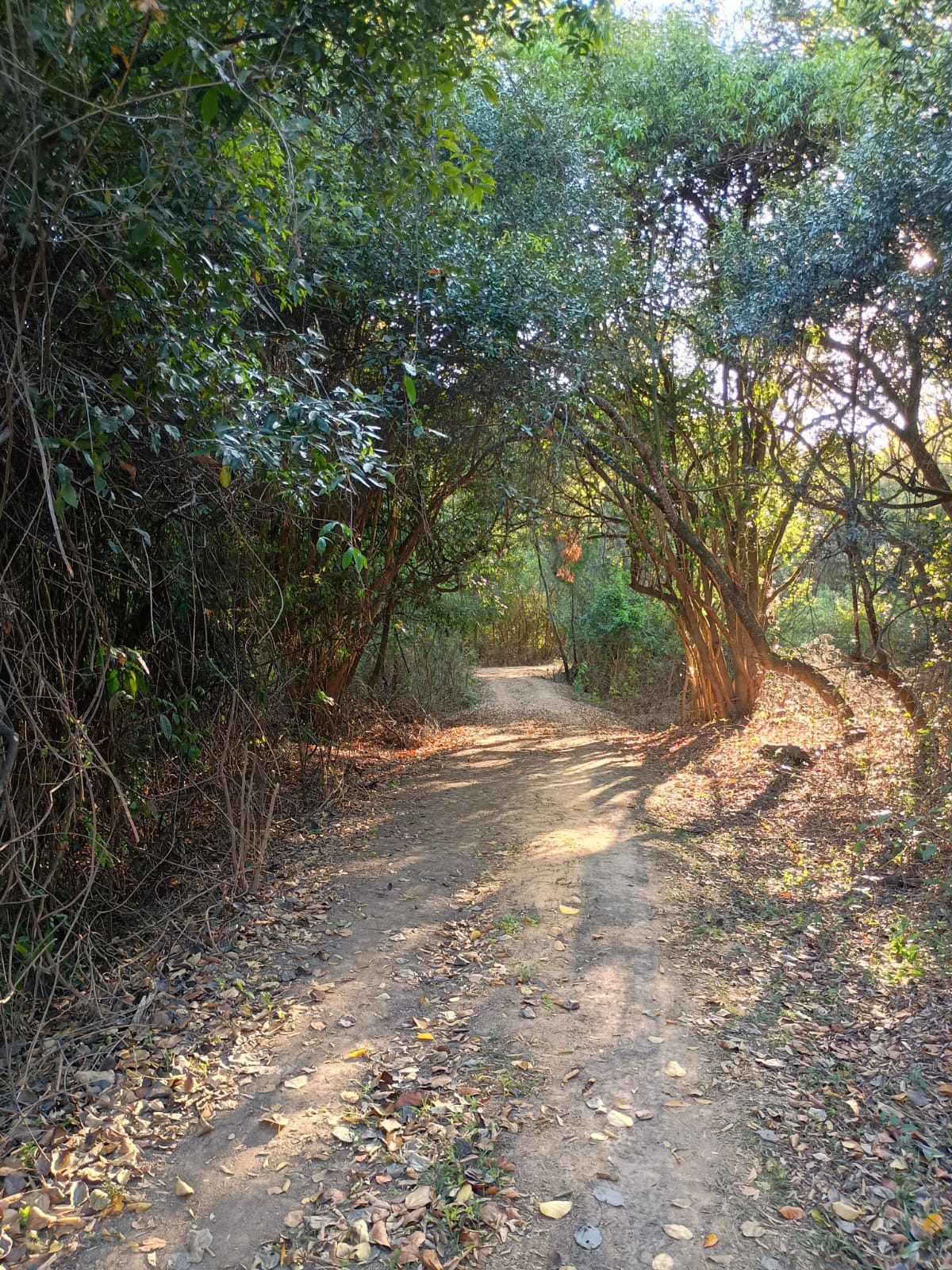 Pesqueiro Recanto da Paz - 