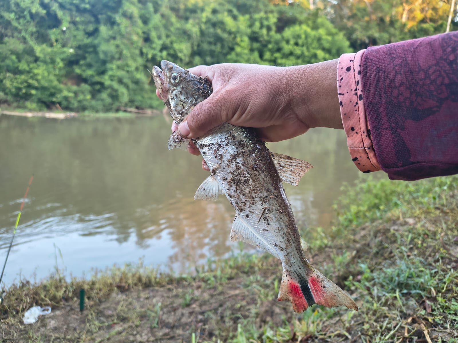Pesqueiro Recanto da Paz - 