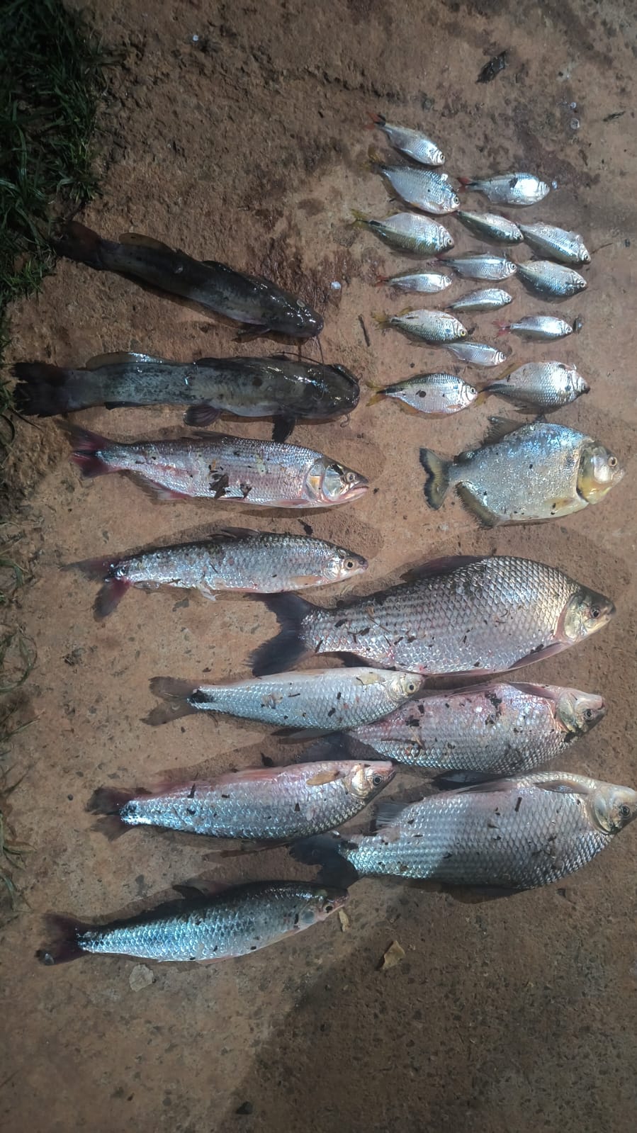 Pesqueiro Recanto da Paz - 